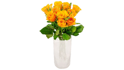 Mimea Roses Orange 45 Cm 10st