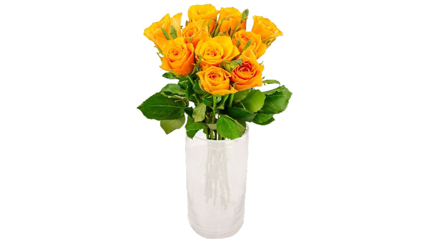 Mimea Roses Orange 45 Cm 10st