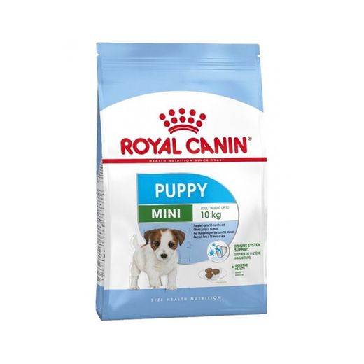 Buy Royal Canin Shn Size Health Nutrition Mini Puppy Dry Dog