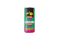 Guarana Kiwi-Apple Brainer 250 ml
