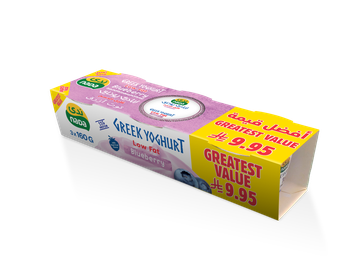 Greek Yogurt Blueberry Low Fat 3×160g