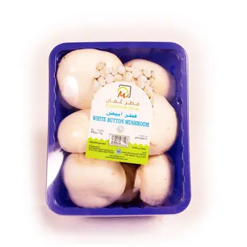 Mushroom Oman 250 لة