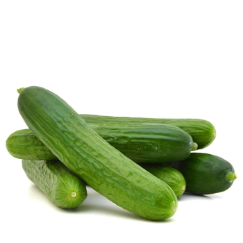 Organic Cucumber 1kg - Alsalwa