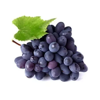 Grapes Black Lebanon 500 g - Gulf Fruit