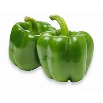 Capsicum Green local 500 gm - Haseel