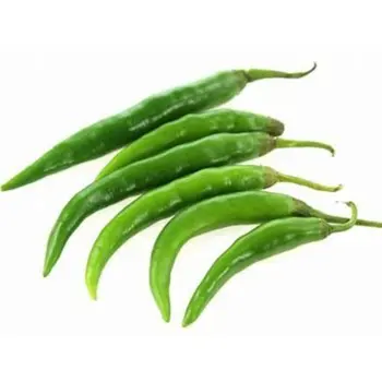 Hot Peppers Green Local 250 gm - Haseel