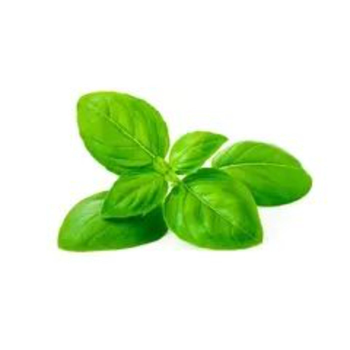 Orgnic Basil 150g - Alsalwa