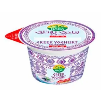 Nada Blueberrygreek Yoghurt 160g