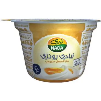 Nada Natural Honey Greek Yogurt 160g