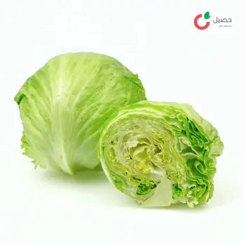 Lettuce Iceberg Local Bundle - Haseel