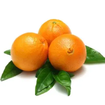 Orange Navel Egyption 500 gm - Alsudayri