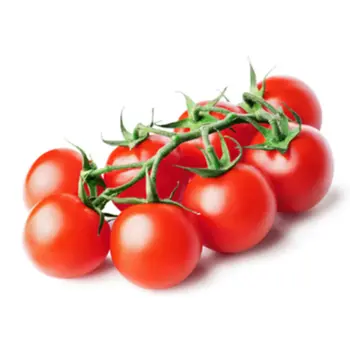 Tahdir Bak Tomato Cherry Moroccan 1Pack