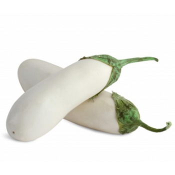 Tahdir Bak Eggplant White Local 500g