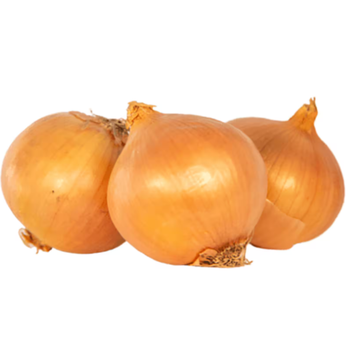 Tahdir Bak Onion Gold Local 1Kg