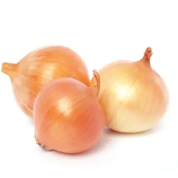 Tahdir Bak Onion Gold Local 500g