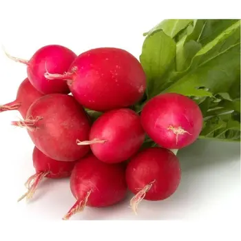 Organic Red Radish 250g - Alsalwa