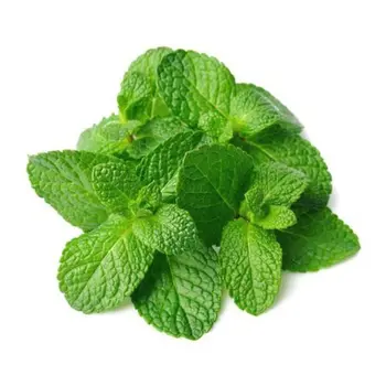 Organic Mint 150g - Alsalwa
