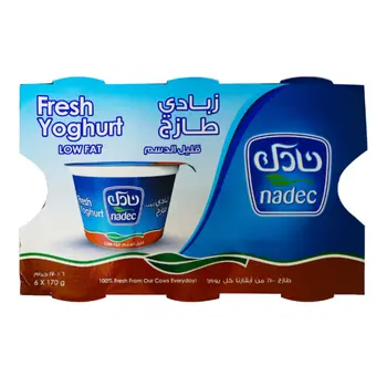 NadecLow Fat Fresh Yogurt Pack 6×170g