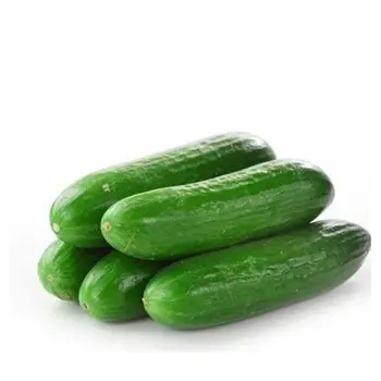 Cucumber Al Qassim 500 g