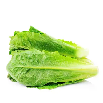 Lettuce Al Qassim Bundle