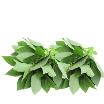 Molukhia Al Qassim 250 g