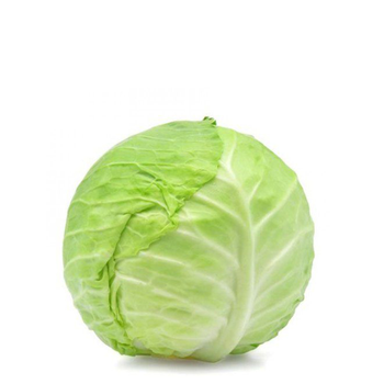 White Cabbage Al Qassim 1 Piece