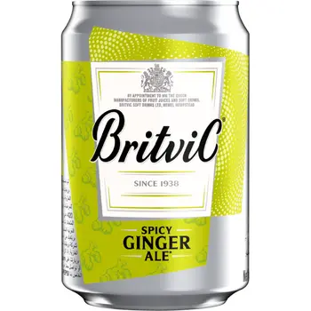 Britvic Ginger Ale Can 300 ml