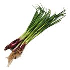 Lotus's Daun Bawang Cameron 100g
