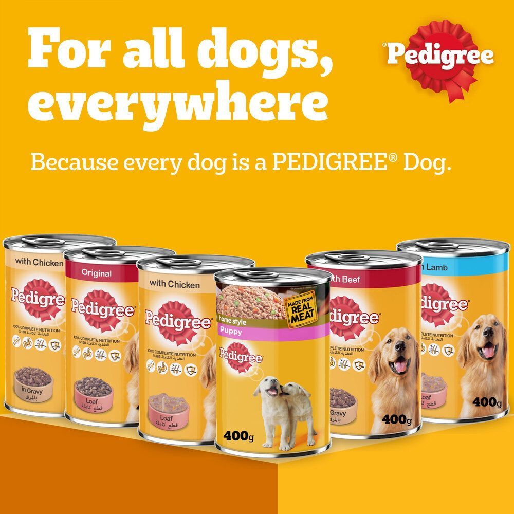 Buy Pedigree Markies Dog Treats, 150g Online in Bahrain Talabat