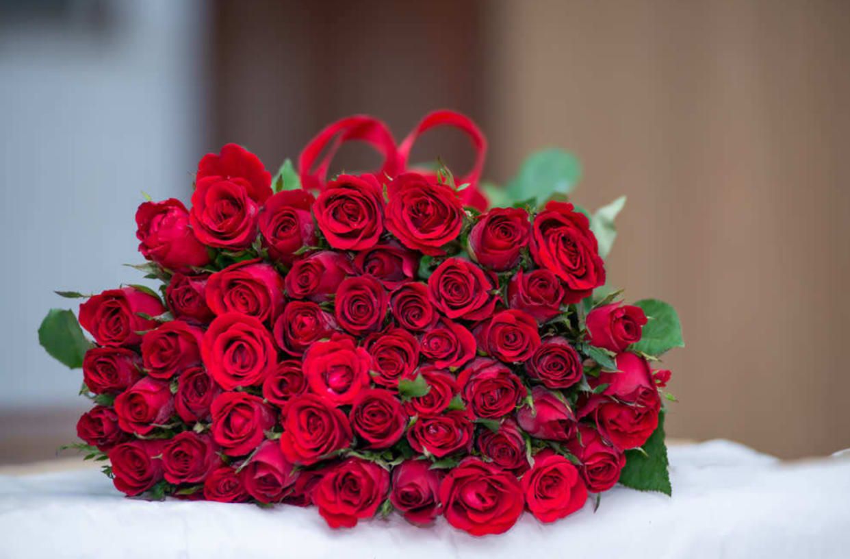 Floraria Eva