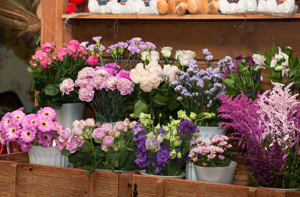 Agroflor Garden Centar