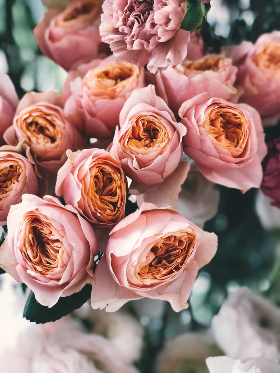 Anda Flower Design