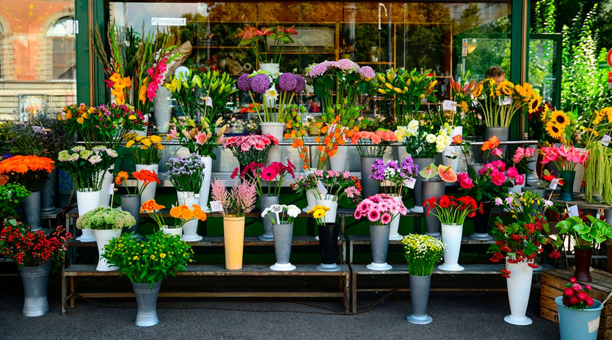 Garden Rivas