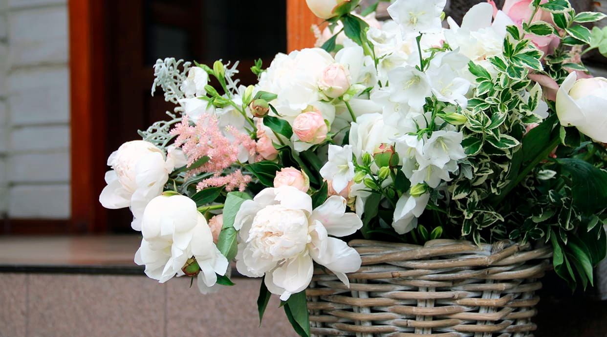 Blume
