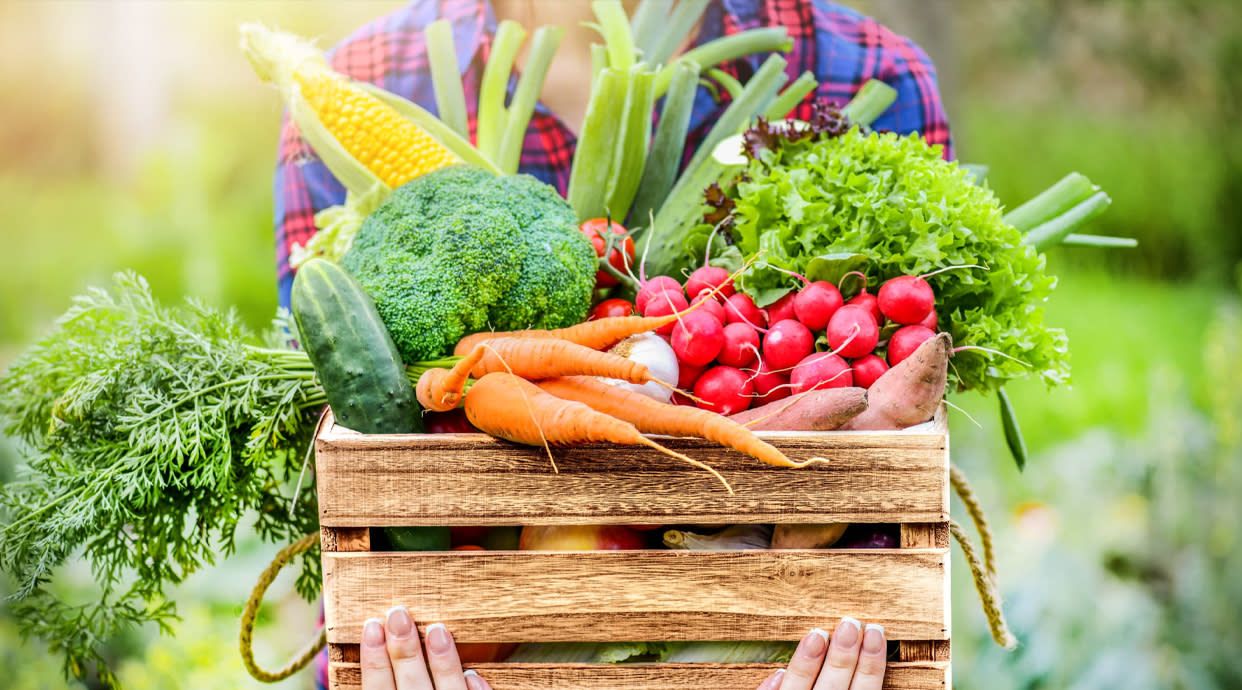 Healthy Bite