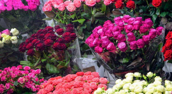 Livraison de fleurs au Maroc - 7j sur 7 - Dès 190dhs (18€) (21$)