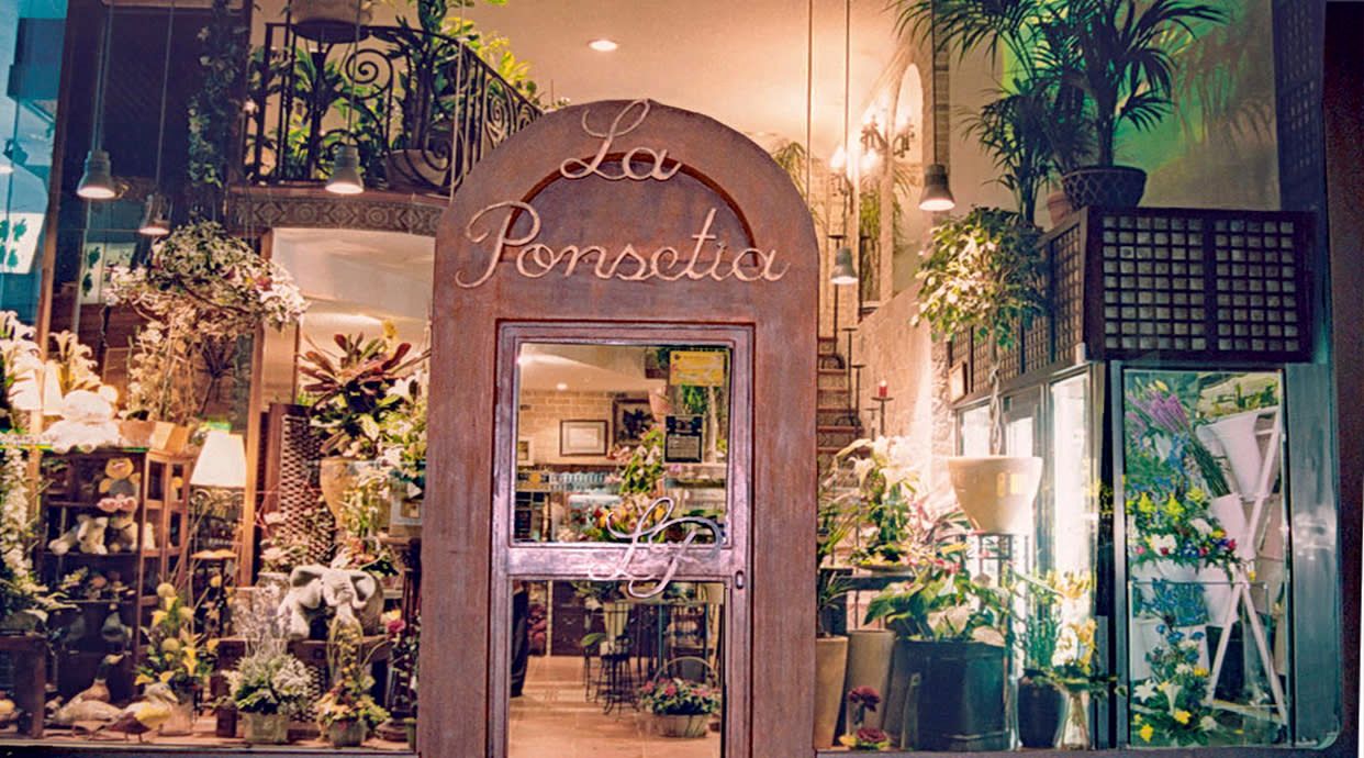 La Ponsetia