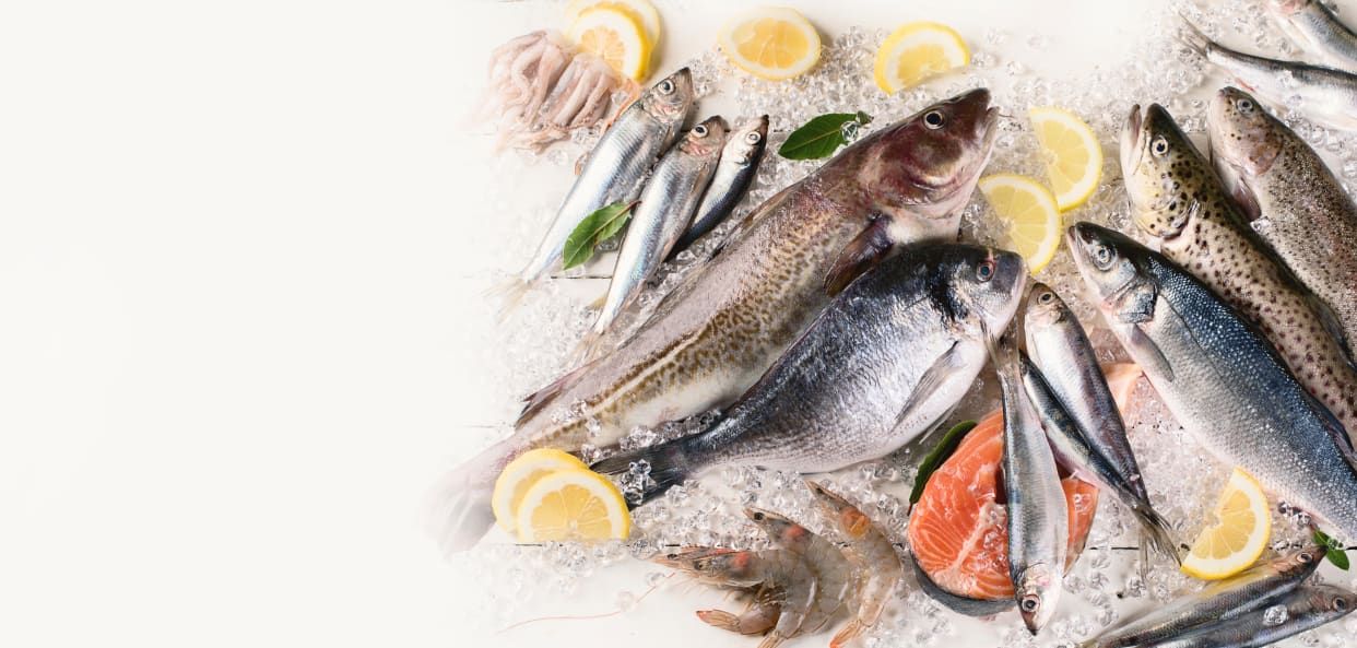 Gastro ribarnica Brač - Poljud