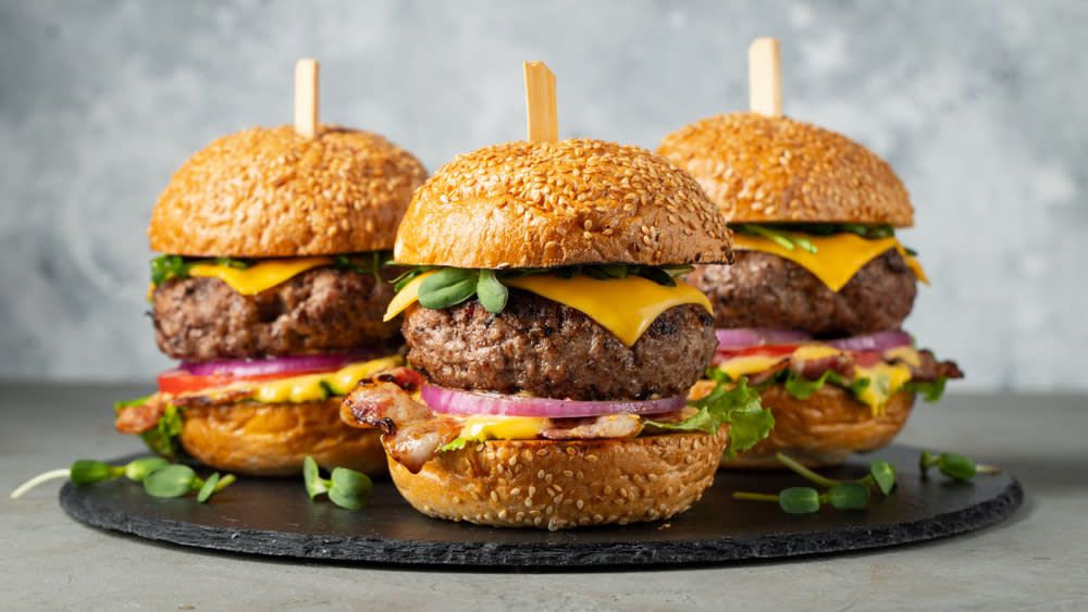 BurgrLab