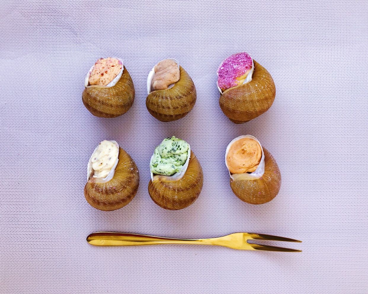 Escargot. Snail&champagne