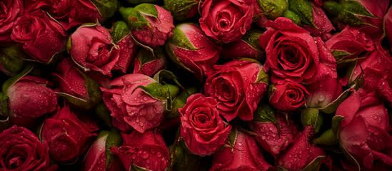 Notre Bouquet 
