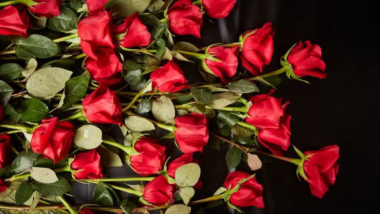 Cvećara Floramira Bele Vode