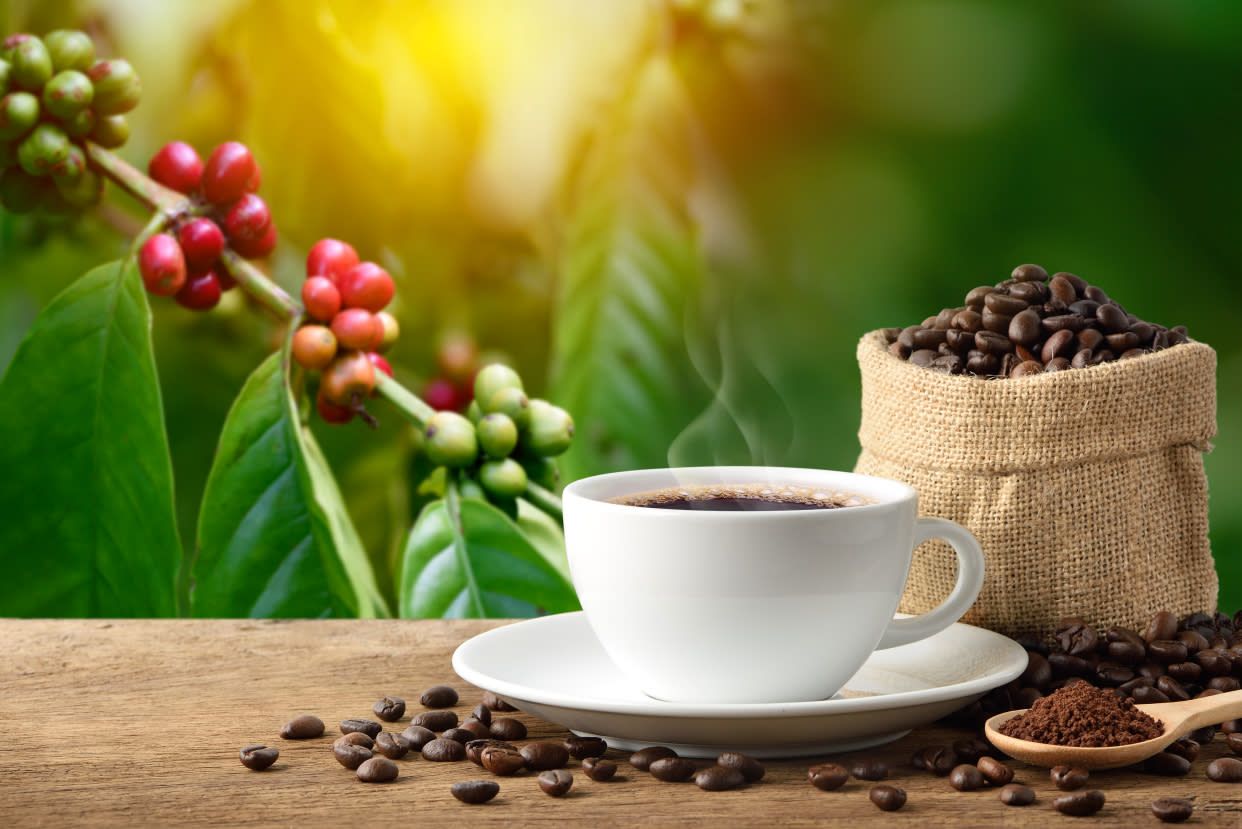 Fabrika Coffee To Go