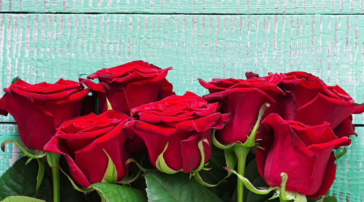 Floristería Ánforas Para Programar