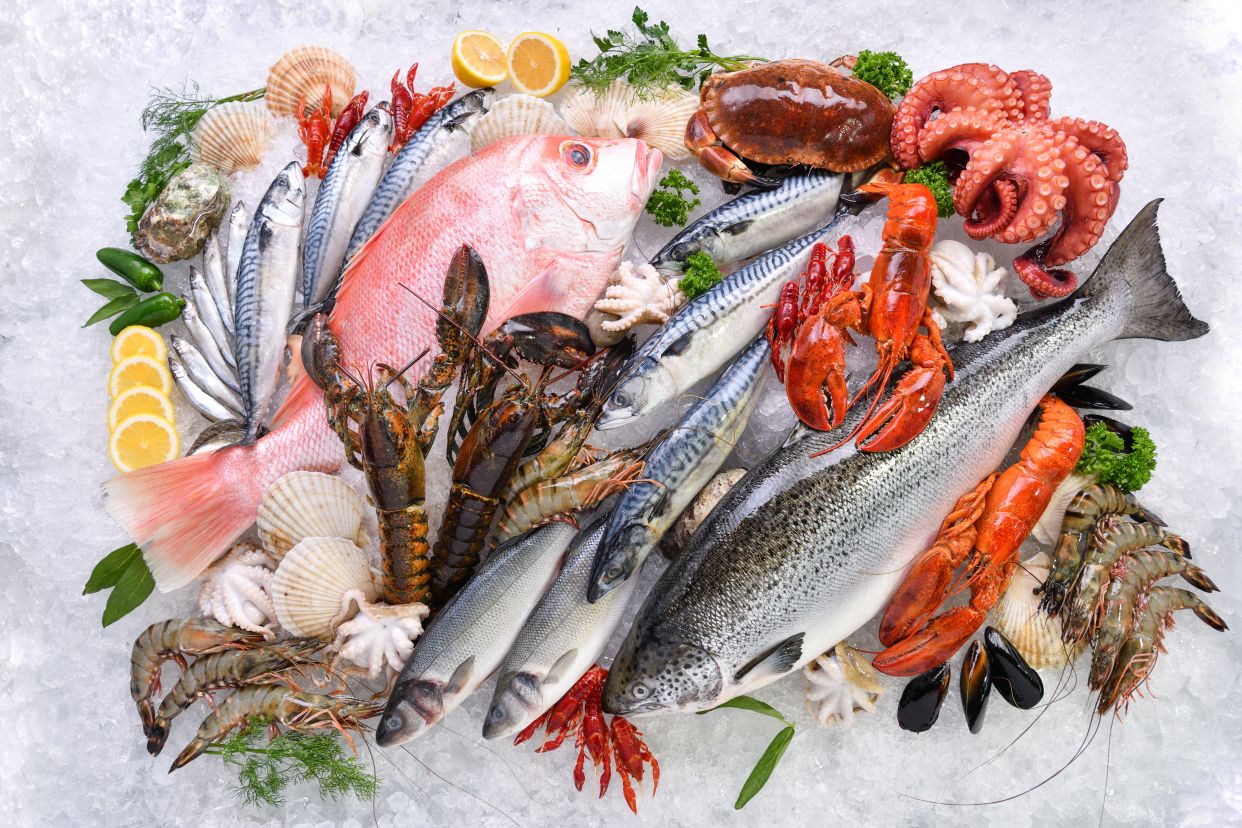 Pesceria Perugia 2