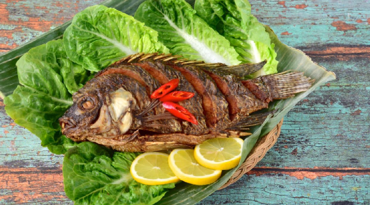 Рибката / Ribkata