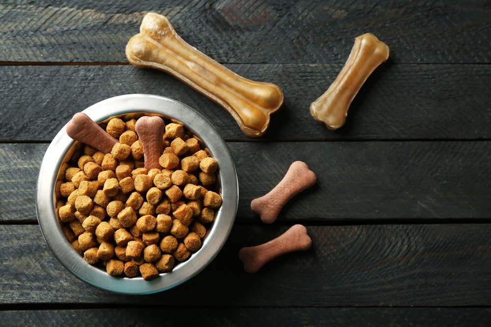 Farmacia veterinara urbana