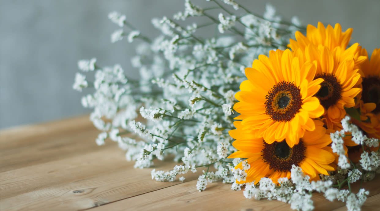 Floristería Jicara
