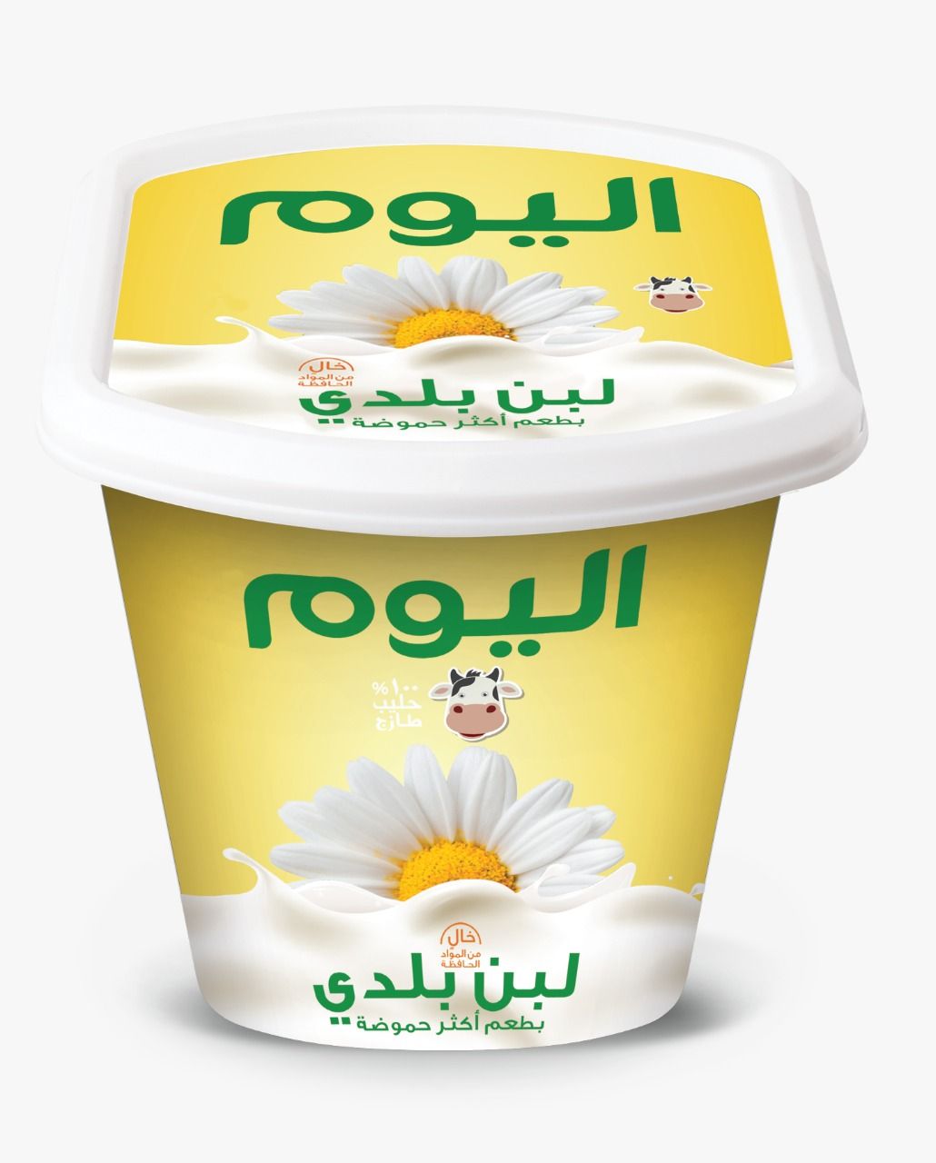 Buy Alyoum Tang Taste Yoghurt Baladi, 1kg Online in Jordan | Talabat Jordan