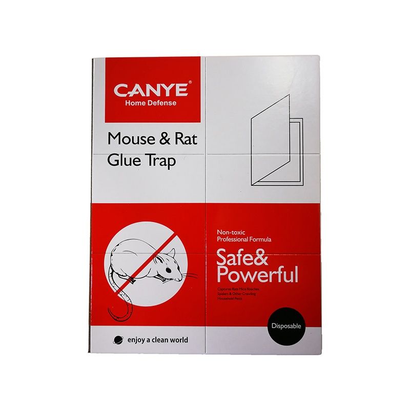 Buy Canye Mouse & Rat Glue Trap Online in Kuwait | Talabat Kuwait